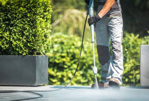 Animal Enclosure Cleaning in Waco, TX